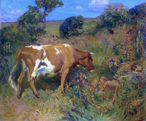 风景中的一头牛，约 1910 年