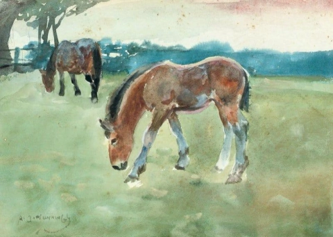 A Foal Grazing Another Horse Behind