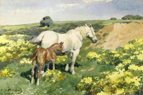 Eine Stute mit ihrem Fohlen 1903