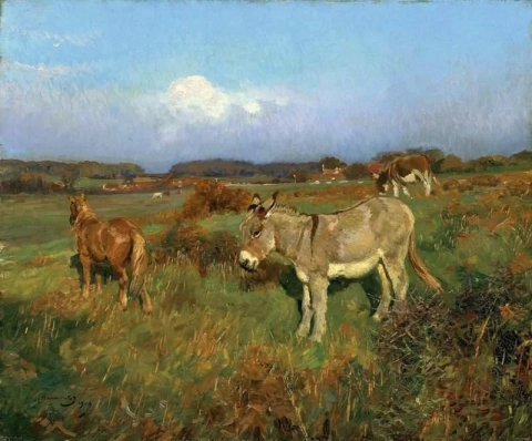 A Pony And Donkeys 1904