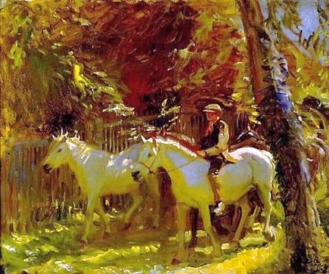 Boy And Ponies Ca. 1910