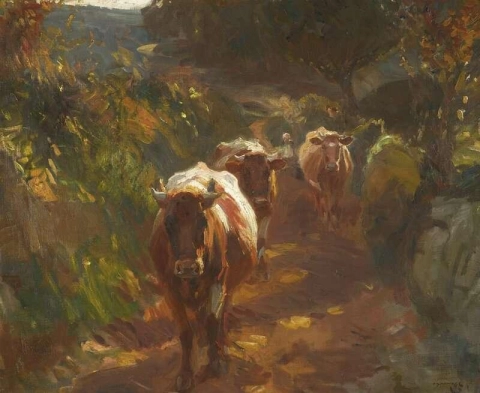 Bringing Up The Cows