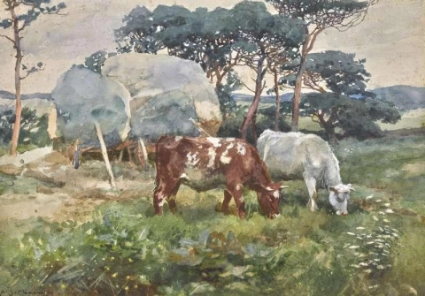 牛在干草车前吃草