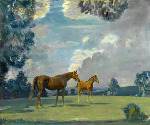 Diadem And Her Foal