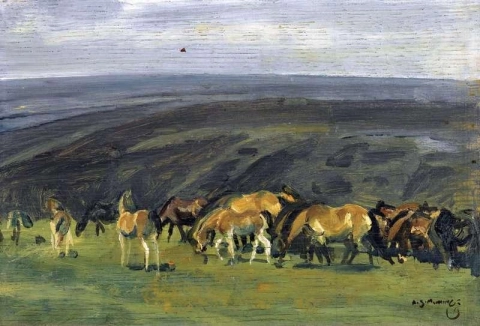 Exmoor Ponies Ca. 1940