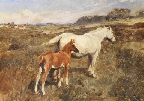 Grey Mare And Chestnut Foal 1903
