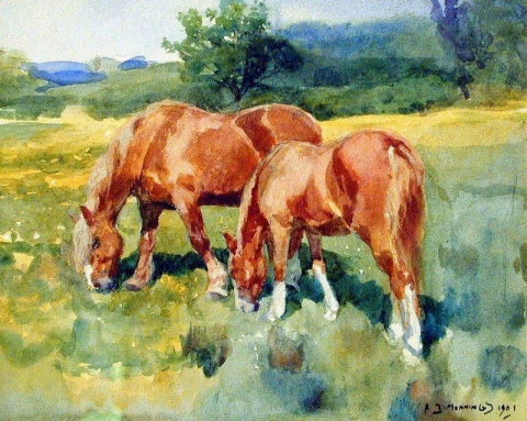 Mare And Foal In A Field 1901