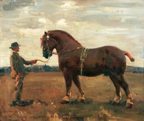 メンダム少尉サフォーク種牡馬 1914