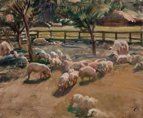 Свиньи во дворе фермы