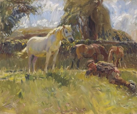 リングランド・ヒルズのエビと老灰色雌馬 1910