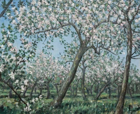 Яблоневый сад — Бат-роуд, около 1926 года.
