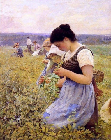 Mujeres en los campos