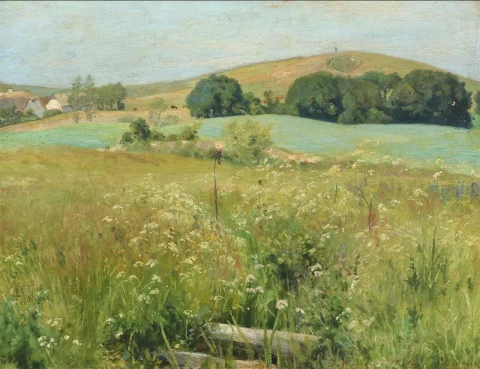 المناظر الطبيعية الصيفية الدنماركية 1899