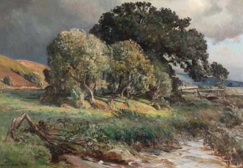 المناظر الطبيعية 1901