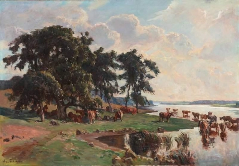 منظر طبيعي صيفي مع أبقار تشرب على شاطئ البحيرة