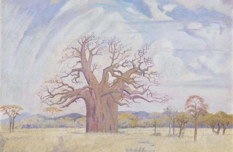 Baobabträd