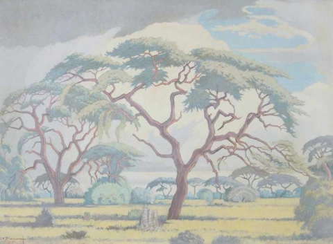 Bushveld-scen med träd och myrstackar 1956