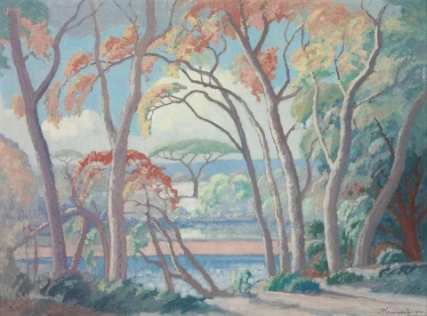 三朝の木 オリファンツ川 1944年