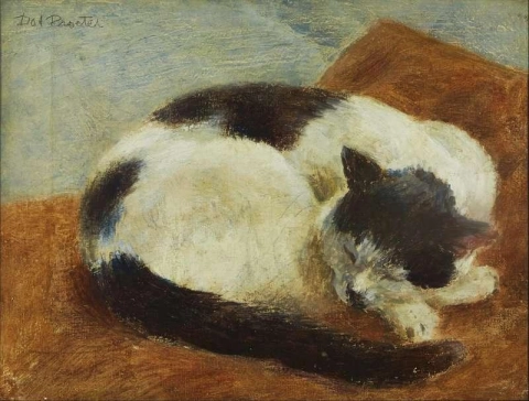 Спящая черно-белая кошка
