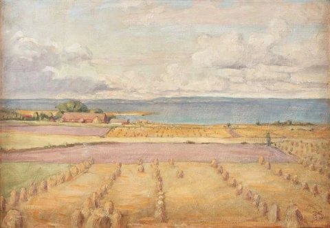 Fields By Lake Vattern Scene From Orgarden