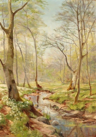 春の日の森の中の小川