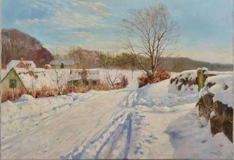 Paesaggio invernale a Orholm