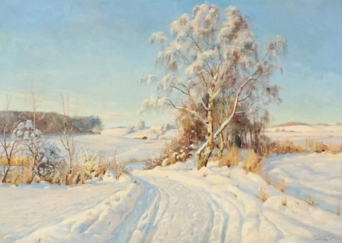 Paesaggio Invernale In Una Chiara Giornata Gelida