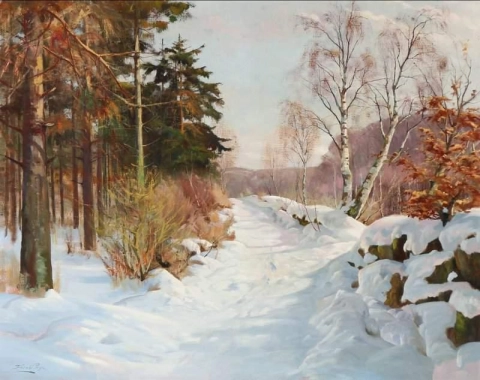 Paesaggio Invernale Con Un Sentiero Nel Bosco Coperto Di Neve