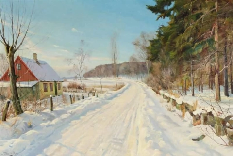 Paesaggio invernale di Gribskov
