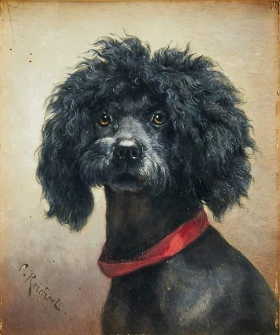 retrato de perro