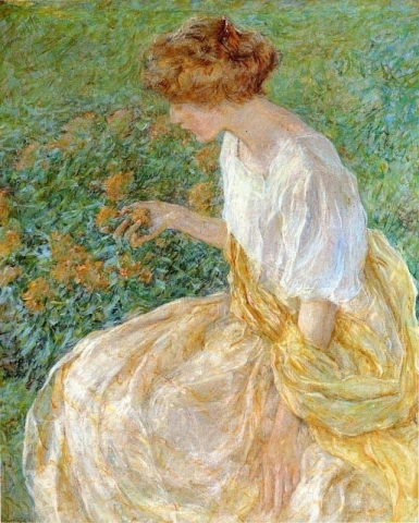 Keltainen kukka 1908
