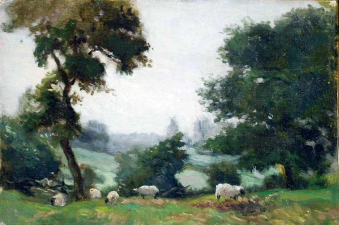 Study Of Sheep In Woodland-evening