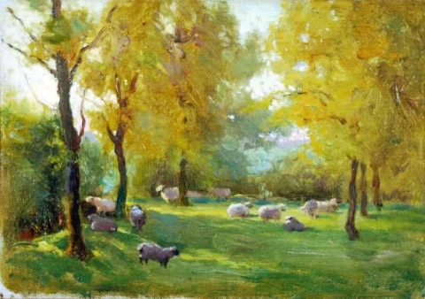 Study Of Sheep In Woodland