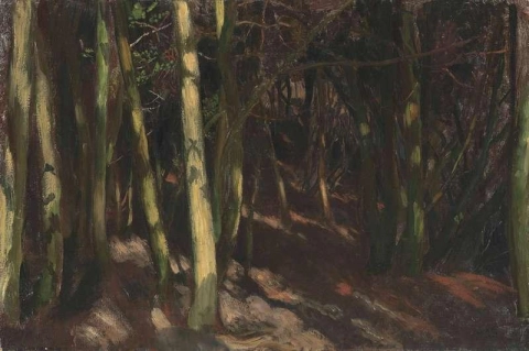 木々 1889