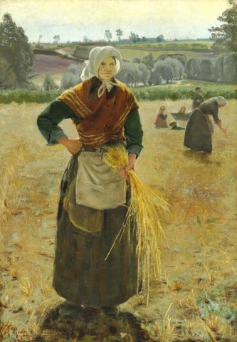 Een vrouw die korenaren verzamelt