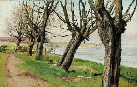Landscape With Old Willows. Bright Cold Blue Atmosphere