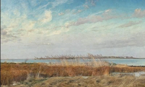 Roskilde Fiord. Winter. Yellow And Brown Rushes In The Foreground. View Across The Water To The Village Of Veddelev