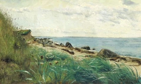 Piedras y hierba de Lyme en la playa