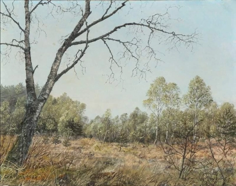Поляна на окраине леса 1932
