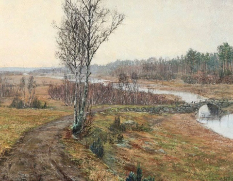 Swedish Landscape