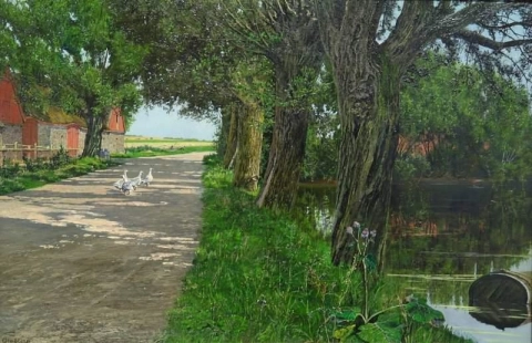 Vista da Nysted. Strada di campagna con erba in riva al lago Fabbricati agricoli sullo sfondo 1