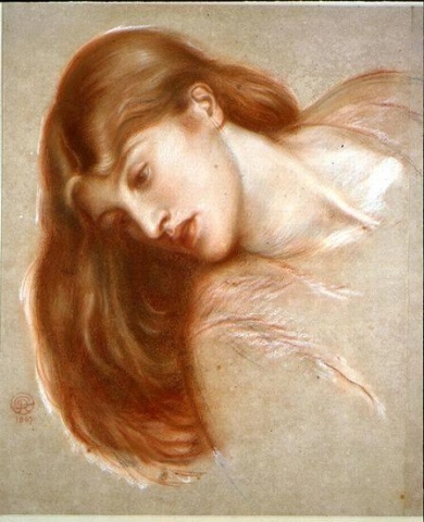 水母美杜莎 1867