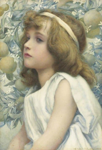 플로리멜 1893