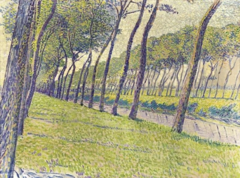플랑드르 1894의 운하