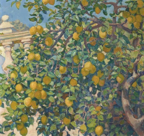 أشجار الليمون لا مورتولا 1921