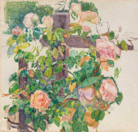 Rosas trepadeiras por volta de 1920