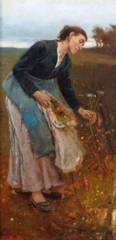 比利娜·卡 1882
