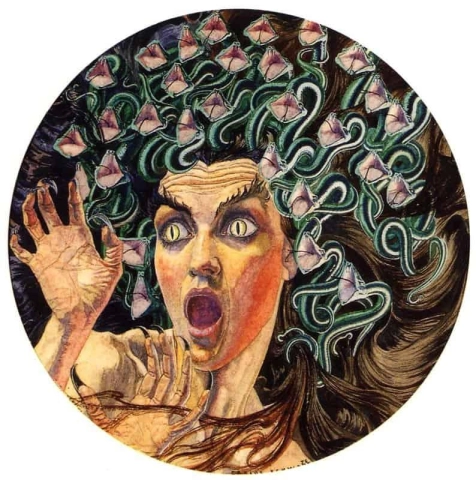 Medusa 1895