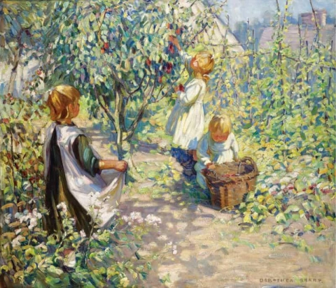 In The Orchard Picking Plums