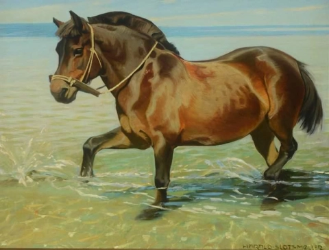 Um cavalo à beira do rio